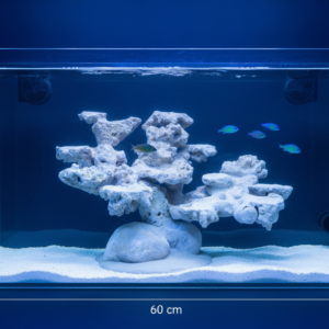 Layout Cá Biển Tối Ưu Hệ Reef Bể 60cm – Mã 2