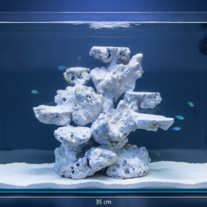 Layout Cá Biển Hồ Reef 35cm Phù Hợp Bố Cục Hiện Đại – Mã 3