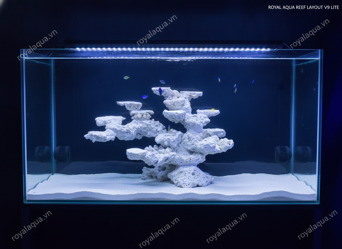 ma-100-layout-ca-bien-be-50cm-da-dep-san-chi-viec-setup-gemini-featured-web