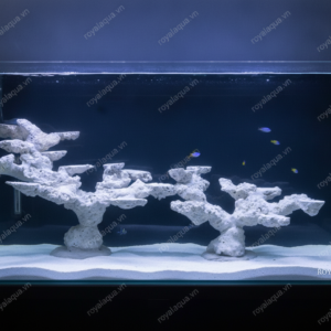 Layout Cá Biển Bể 120cm Dáng Đá Tự Nhiên – Mã 101