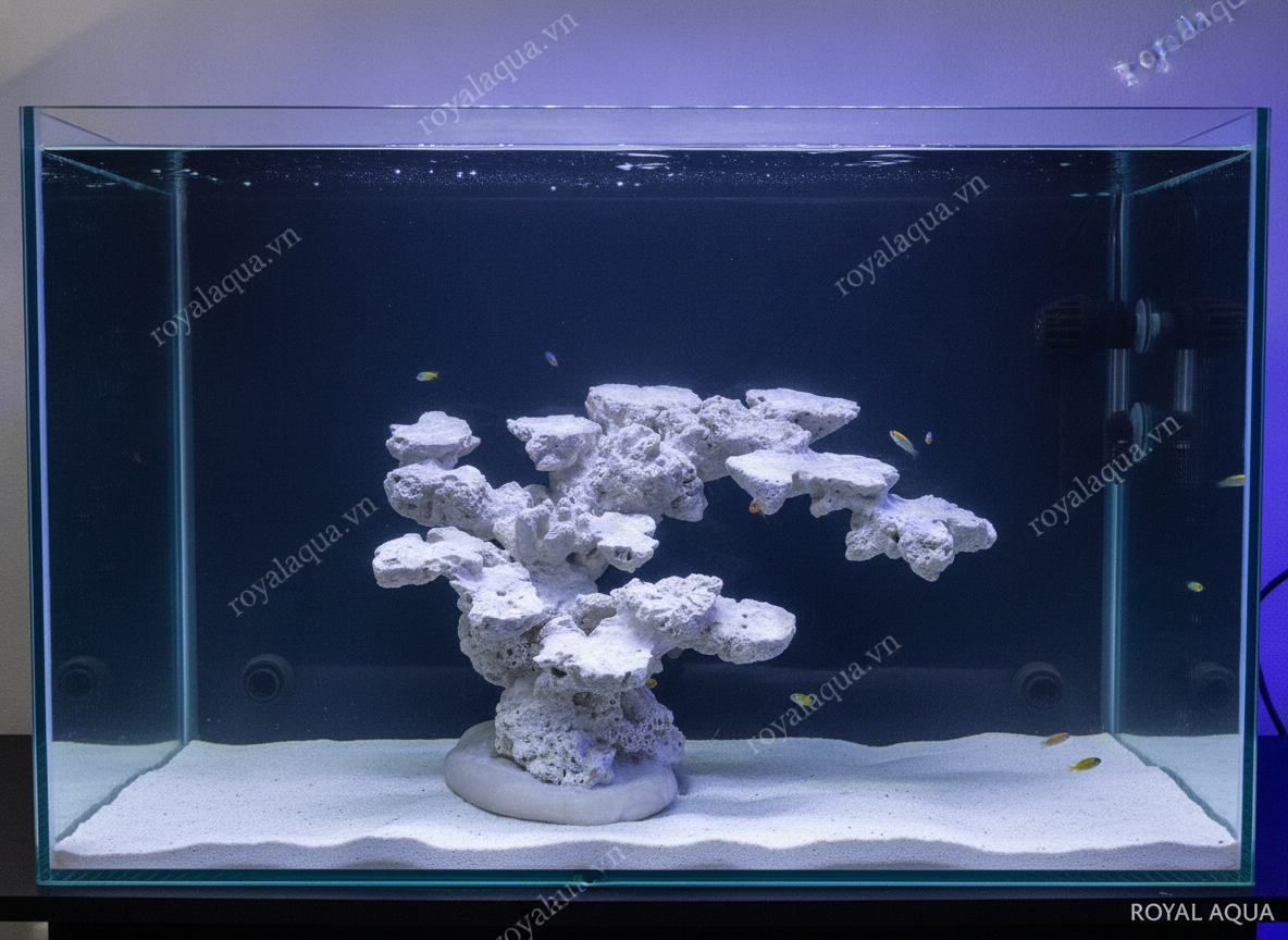 ma-102-layout-ca-bien-be-60cm-bo-cuc-da-doc-ban-gemini-featured-web