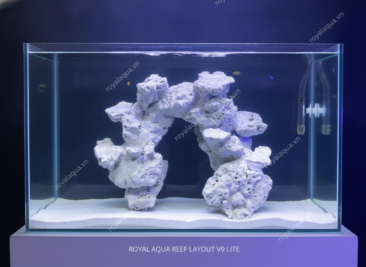 ma-107-layout-ca-bien-be-40cm-hoan-thien-ti-mi-gemini-featured-web