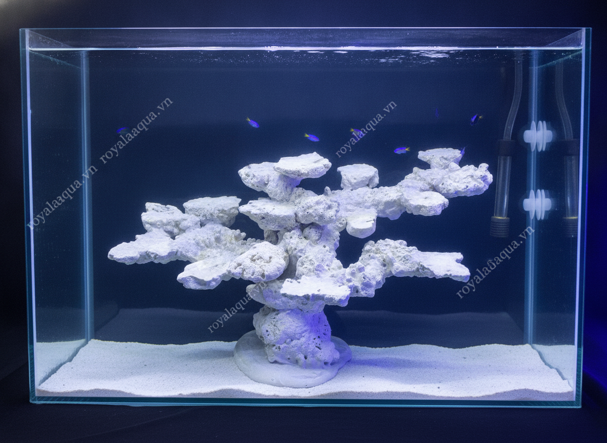 ma-110-layout-ca-bien-be-70cm-toi-uu-he-reef-gemini-featured-web