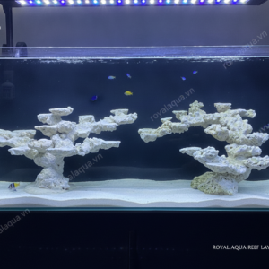 Layout Cá Biển Bể 120cm Phù Hợp Hồ Reef Hiện Đại – Mã 111