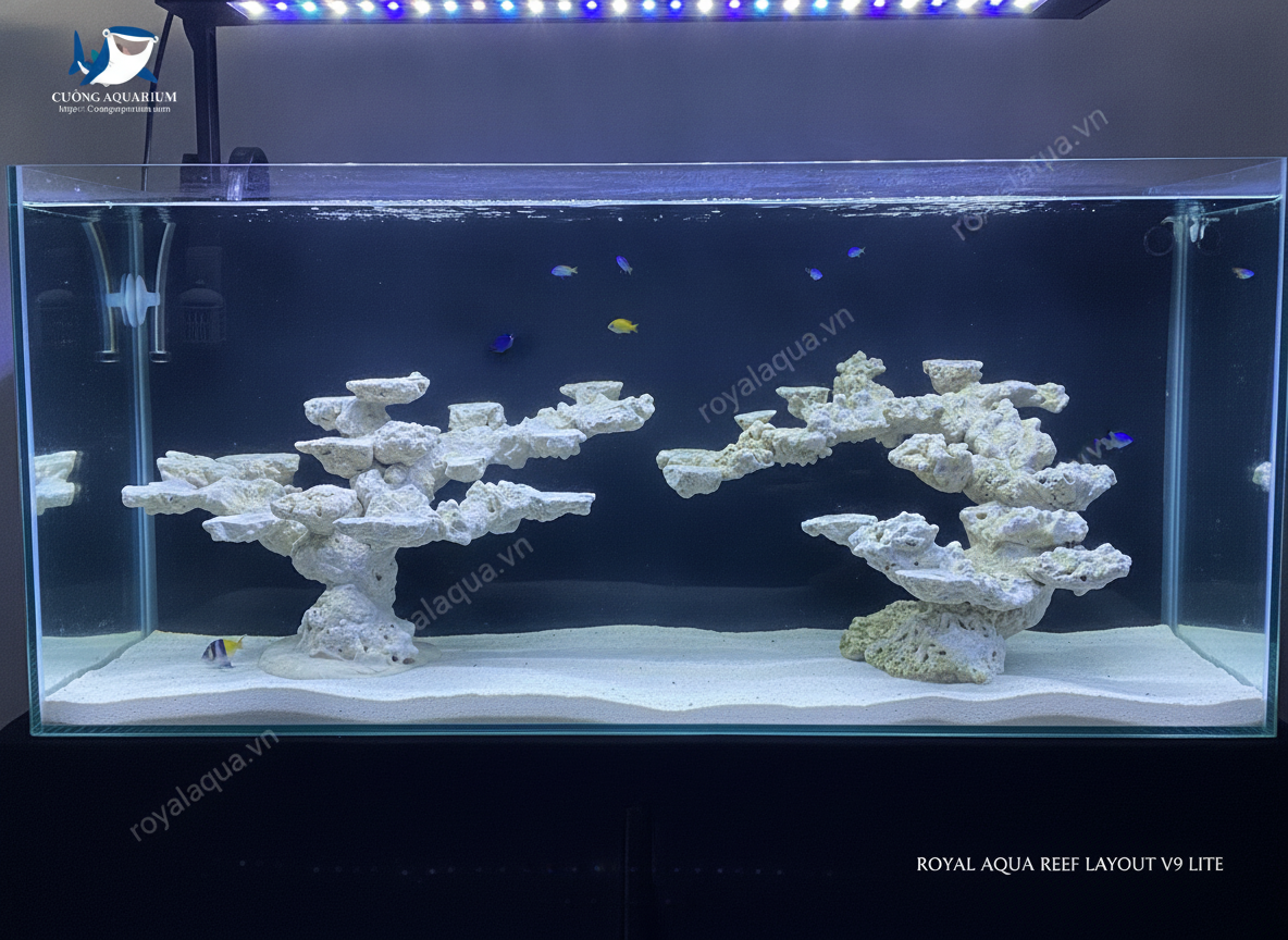 ma-111-layout-ca-bien-be-120cm-phu-hop-ho-reef-hien-dai-gemini-featured-web