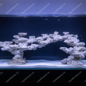 Layout Bể Cá Biển 150cm Dễ Dàng Đặt Tạo Sóng – Mã 117