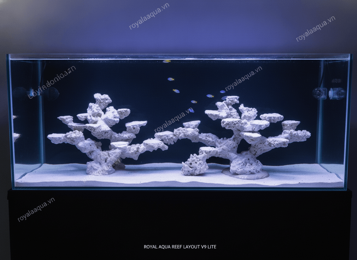 ma-122-layout-ca-bien-be-120x40x60cm-de-setup-thiet-bi-gemini-featured-tinypng