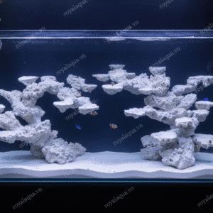 Layout Cá Biển Bể 120cm Đã Hoàn Thiện – Mã 123
