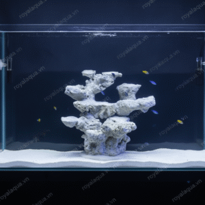 Layout Cá Biển Bể 40cm Mẫu Layout Được Ưa Chuộng – Mã 133