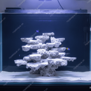 Layout Cá Biển Bể 50cm Tối Ưu Hệ Reef – Mã 140