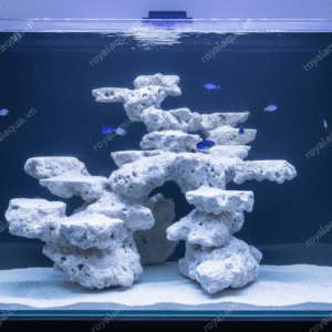 Layout Cá Biển Bể 40cm Phù Hợp Hồ Reef Hiện Đại – Mã 141