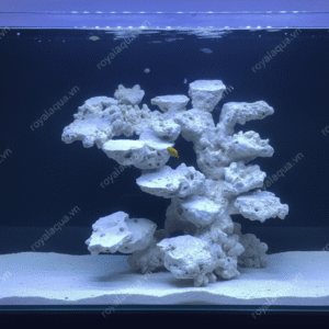 Layout Cá Biển Thiết Kế Thoáng Nước Bể 50cm – Mã 147