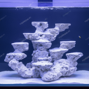 Layout Cá Biển Dáng Đá Tự Nhiên Bể 40cm – Mã 156