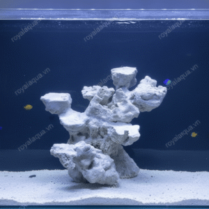 Layout Cá Biển Bể 30cm Mẫu Layout Được Ưa Chuộng – Mã 159