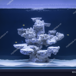 Layout Cá Biển Chuyên Reef SPS LPS Bể 40cm – Mã 163
