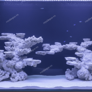 Layout Cá Biển Tối Ưu Không Gian San Hô Bể 120cm – Mã 164