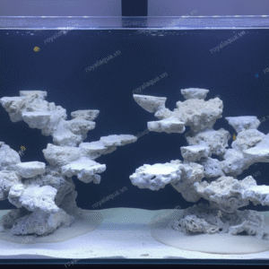 Layout Cá Biển Bể 120cm Tối Ưu Hệ Reef – Mã 165
