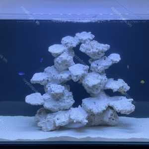Layout Cá Biển Bể 50cm Phù Hợp Hồ Reef Hiện Đại – Mã 166