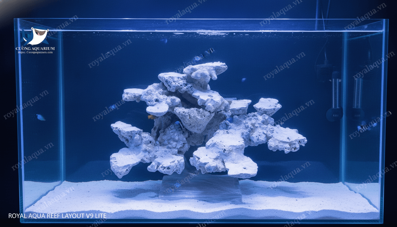 ma-174-layout-ca-bien-be-50cm-thiet-ke-khoa-hoc-gemini-featured-tinypng