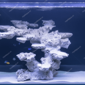 Layout Cá Biển Bể 40cm Phù Hợp Hồ Reef Hiện Đại – Mã 192
