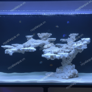 Layout Bể Cá Biển 90x60x60cm Đã Hoàn Thiện – Mã 202
