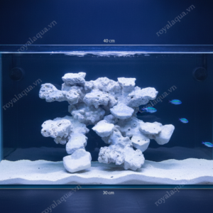 Layout Cá Biển Bể 40cm Mẫu Ưa Chuộng – Mã 21