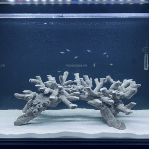 Layout Cá Biển Bể 90x70x55cm Tối Ưu Hệ Reef – Mã 214