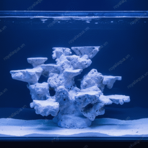 Layout Cá Biển Bể 40cm Phù Hợp Hồ Reef Hiện Đại – Mã 215