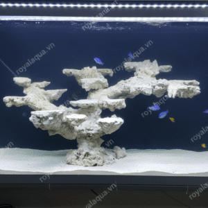 Layout Cá Biển Bể 60cm Tối Ưu Dòng Chảy – Mã 217