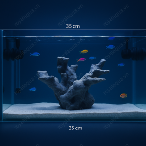 Layout Cá Biển Cubic 35-40cm Mẫu Bố Cục Được Ưa Chuộng – Mã 225