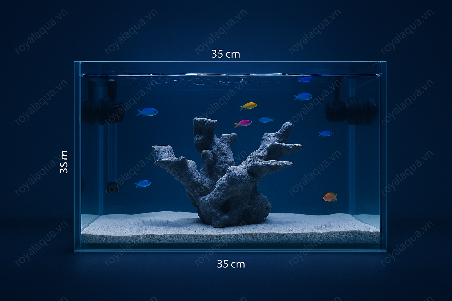 ma-225-layout-ca-bien-cubic-35-40cm-mau-layout-duoc-ua-chuong-gpt-featured-web-2
