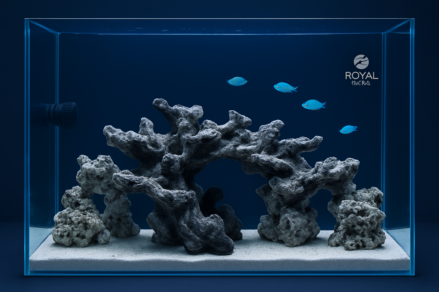 ma-229-layout-ca-bien-cubic-50-60cm-da-dep-san-chi-viec-setup-gpt-featured-web