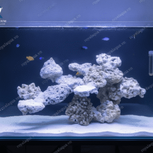 Layout Cá Biển Bể 50cm Dáng Đá Tự Nhiên – Mã 231