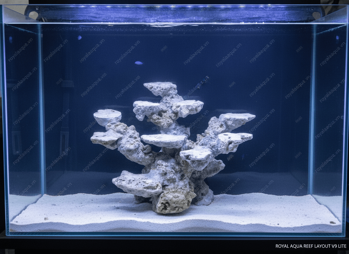 ma-235-layout-ca-bien-be-50cm-mau-duoc-ua-chuong-gemini-featured-tinypng