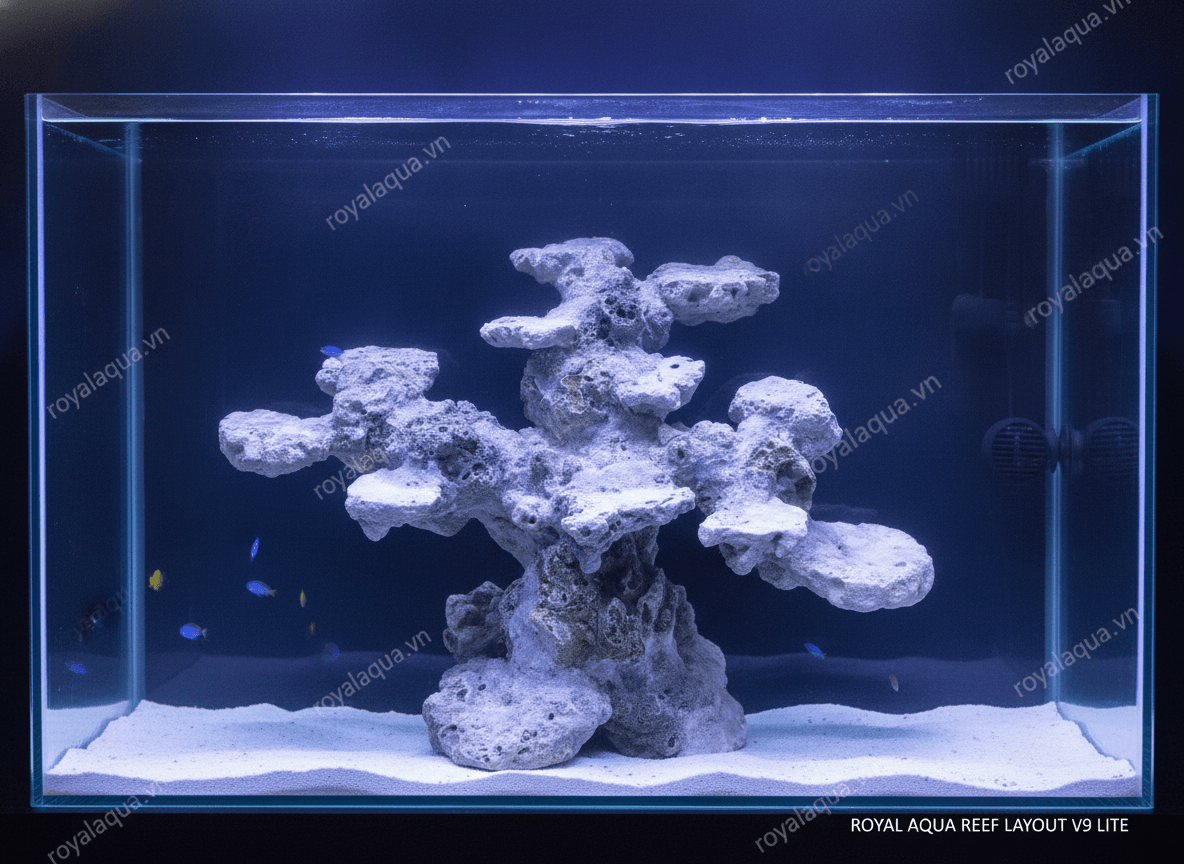 ma-239-layout-ca-bien-be-50cm-toi-uu-khong-gian-san-ho-gemini-featured-tinypng-1