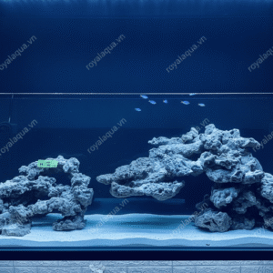 Layout Bể Cá Biển 150cm Thiết Kế Tự Nhiên Dành Cho Người Chơi – Mã 269