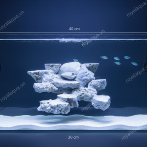 Layout Cá Biển Tối Ưu Không Gian San Hô Bể 40cm – Mã 27