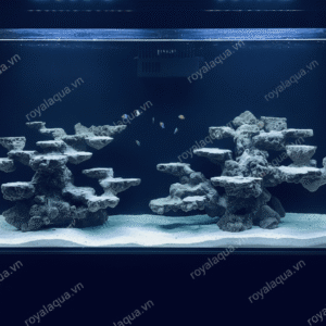 Layout Bể Cá Biển 150cm Tối Ưu Dòng Chảy – Mã 270