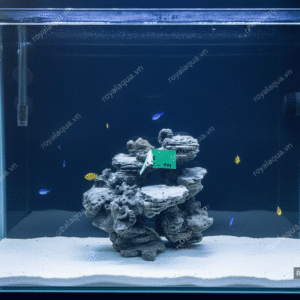 Layout Cá Biển Bể 30cm Lưu Thông Nước Tốt – Mã 275