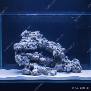 Layout Cá Biển Bể 50cm Đẹp Tự Nhiên Dễ Triển Khai – Mã 279