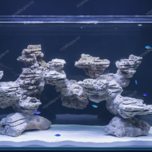 Layout Cá Biển Bể 900cm Tối Ưu Hệ Reef – Mã 28