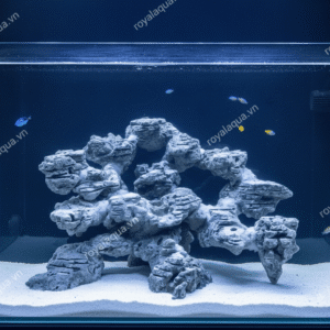 Layout Cá Biển Bể 60cm Phong Cách Biển Hiện Đại – Mã 286