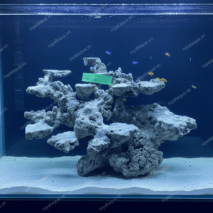 Layout Cá Biển Bể 50cm Hoàn Thiện Tỉ Mỉ – Mã 290