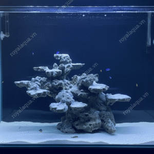 Layout Cá Biển Bể 50cm Phù Hợp Hồ Reef Hiện Đại – Mã 294