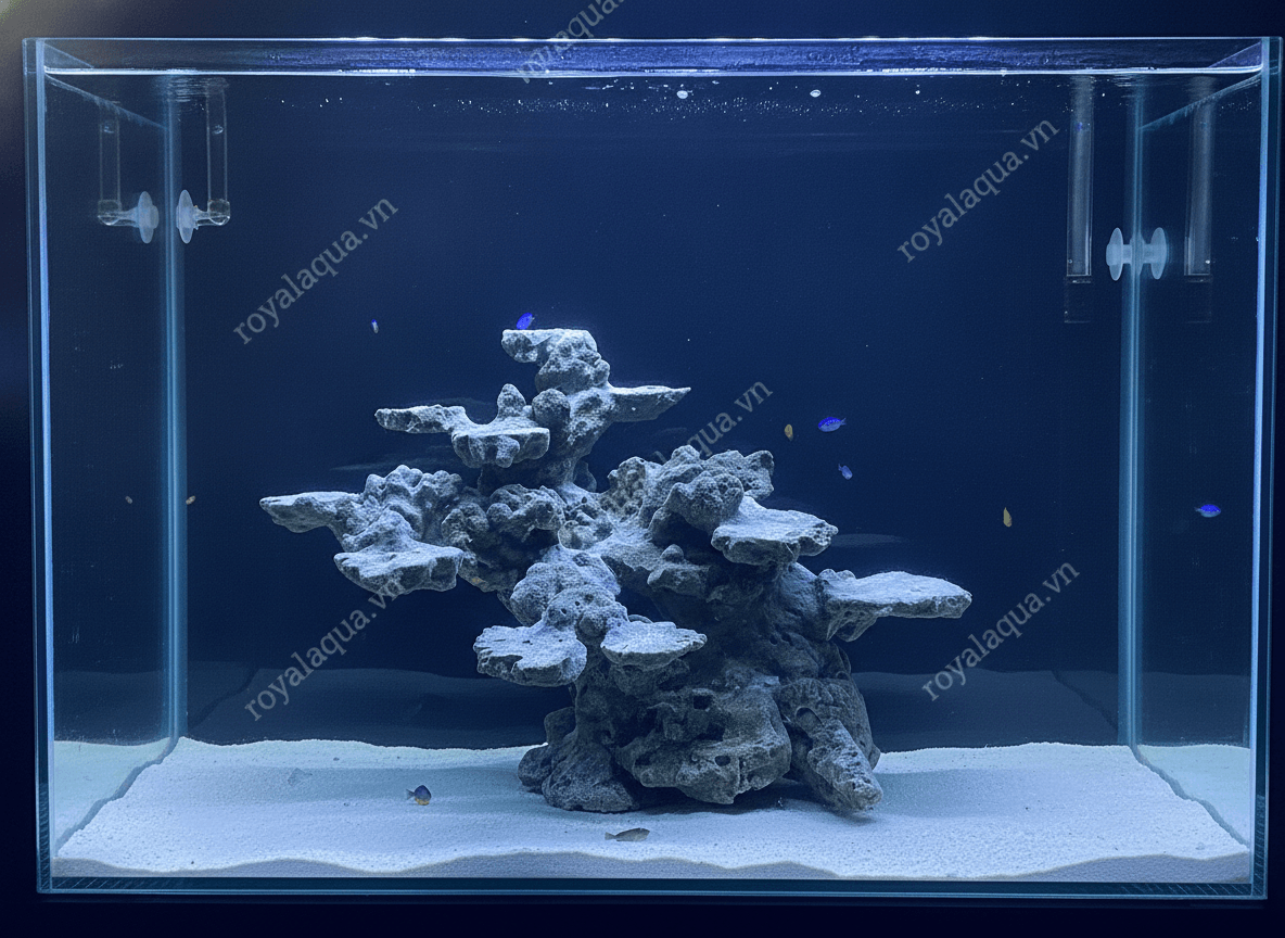 ma-294-layout-ca-bien-be-50cm-phu-hop-ho-reef-hien-dai-gemini-featured-tinypng