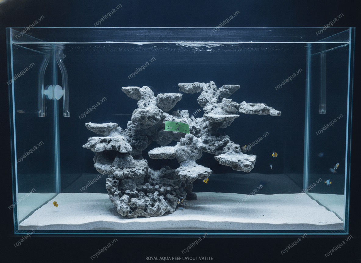ma-295-layout-ca-bien-be-50cm-danh-cho-nguoi-choi-bien-gemini-featured-tinypng