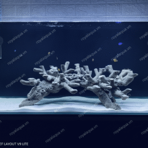 Layout Cá Biển Bể 90cm Thoáng Lưu Thông Hiệu Quả – Mã 298