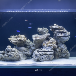 Layout Cá Biển Bể 60cm Tối Ưu Dòng Chảy – Mã 31