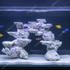 Layout Cá Biển Bể 40cm Lưu Thông Nước Tốt – Mã 36