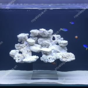 Layout Cá Biển Bể 40cm Thiết Kế Khoa Học – Mã 37